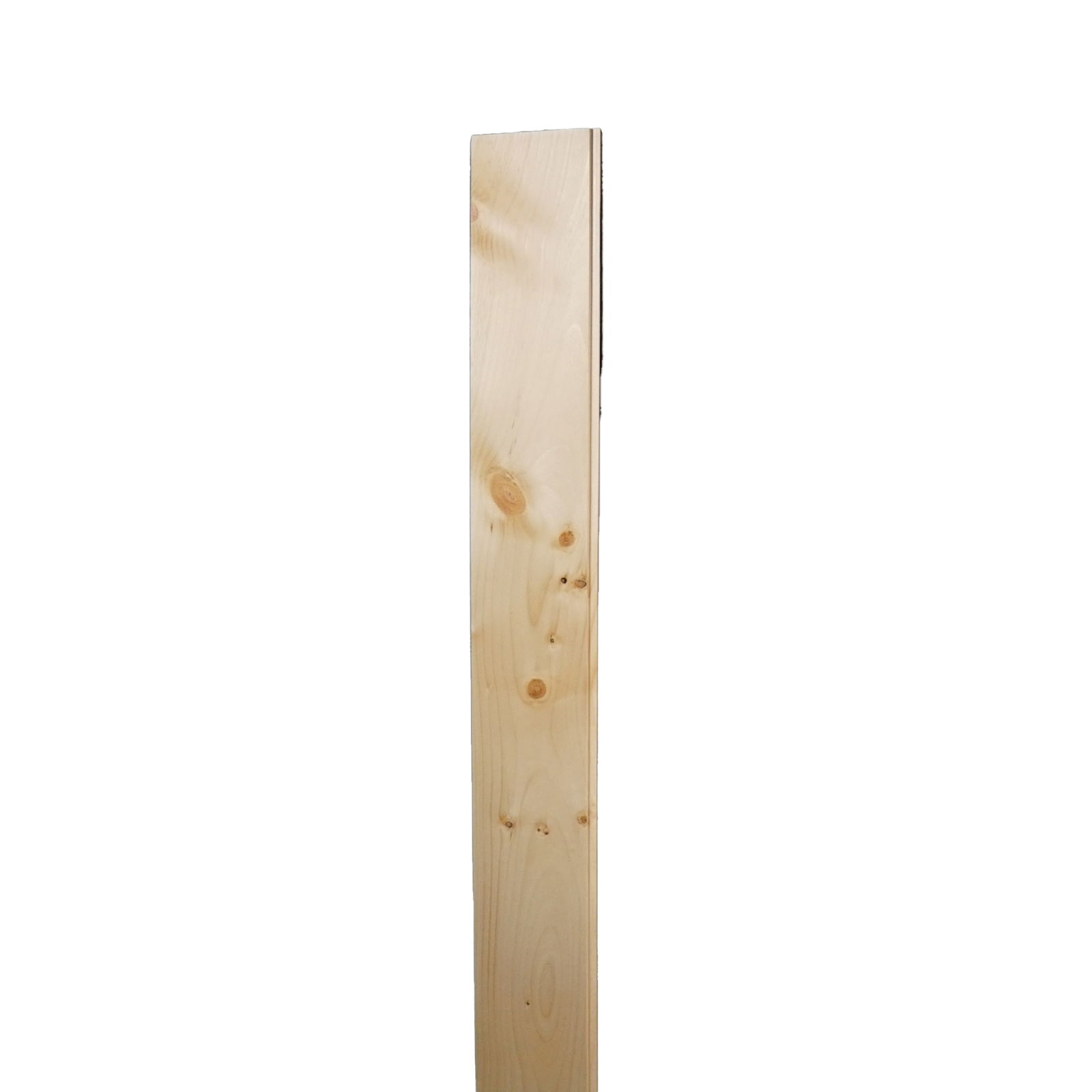 PREMIUM 1X6 PINE V-MATCH W/FLAT PRM168-16WP4/FLATEWP