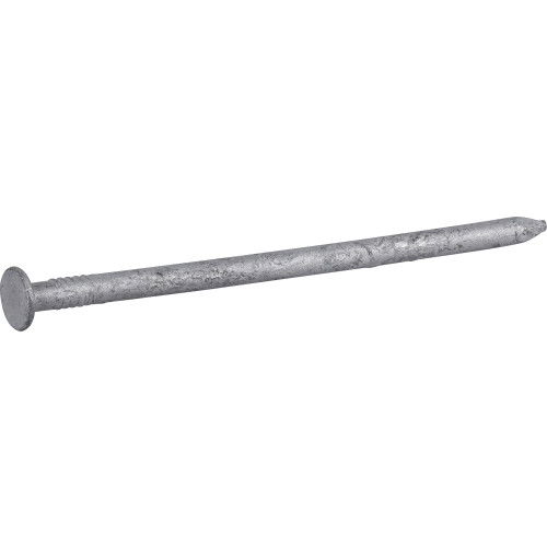 HOT GALVANIZED COMMON NAIL 10D 1LB HGN10HGC1 Common Nail Galvanized