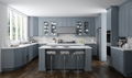 Essex Castle Kitchen.jpg