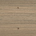IMG_5805.jpeg