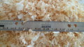 Planer Mill Shavings2.JPG